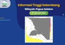 Gelombang Sedang hingga Tinggi disertai Udara Dingin Terjadi Di Papsel