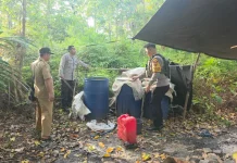 Polsek Muting Musnahkan Bahan Sopi Ilegal