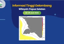 Gelombang Tinggi dan Aktifnya MJO Terjadi di Papua Selatan