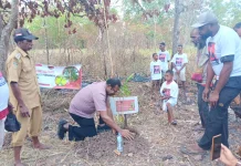 Anggota Komisi 4 DPR RI Edoardus Kaize Tanam Sagu Bersama Masyarakat Wasur.