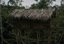 Ketika Karya Gobel Group Hadir di Pelosok Papua