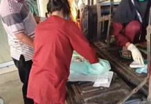 Bayi Lahir di Mobil Patroli Merauke
