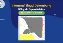Potensi Hujan Lokal dan Gelombang Tinggi Terjadi di Papua Selatan