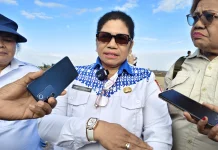Seribu 654 Hektare Sawah di Merauke Siap Ditanami Serentak, Perkuat Lumbung Pangan
