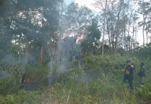 Polsek Obaa dan Masyarakat Padamkan Kebakaran Hutan