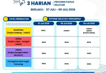 Update Peringatan Dini Cuaca 3 Harian Papsel
