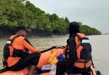 Tim SAR Gabungan Lakukan Pencarian Warga di Sungai Maro Merauke