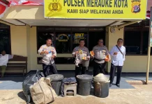 Pabrik Sopi Ilegal Digerebek di Merauke