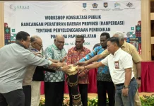 Pemprov Papua Selatan Percepat Regulasi Pendidikan