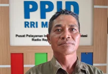 Kekeringan Ancam Hasil Panen Padi
