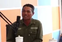 Palawija Jadi Andalan saat Kemarau