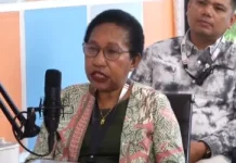 PLN Minta Dukungan Lahan untuk Perluas Listrik