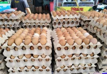 Harga Telur Ayam di Pasar Wamanggu Merauke