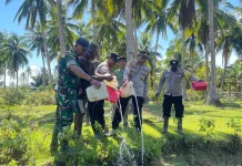 Polsek Okaba Musnahkan Puluhan Liter Miras Lokal