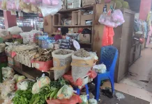 Ketahui Harga Bapok Hasil Lainnya Di Merauke