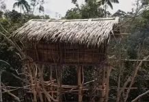 Menembus Rimba Papua Demi Data