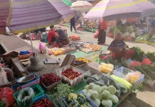 Inilah Harga Bapok Hasil Pertanian Di  Merauke