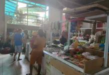 Update Harga Bapok Hasil Lainnya Di Merauke