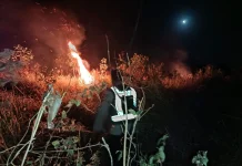 Kebakaran Lahan di Kurik Sukses Dipadamkan