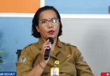 Dinkes Papua Selatan Perluas Program Pengendalian Hepatitis