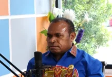 Investasi Papua Selatan Terus Bertumbuh