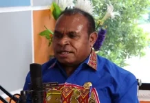 Potensi Sumber Daya Alam Jadi Daya Tarik Investasi di Papua Selatan