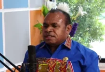 DPMPTSP: Pertanian Jadi Potensi Unggulan Papua Selatan, Perizinan Investasi Berba