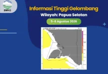Update, Stamet Merauke Rilis Tinggi Gelombang