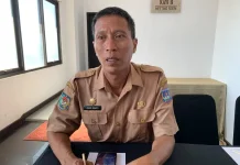 DLH Papua Selatan Dorong Digitalisasi Informasi Lingkungan