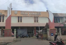 Harga Bapok Hasil Pertanian Di Merauke