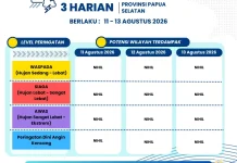 Peringatan Dini Cuaca 3 Harian Provinsi Papua Selatan