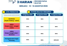 Ketahui Peringatan Dini Cuaca 3 Harian Provinsi Papua Selatan
