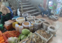 Inilah Harga Bapok Hasil Pertanian Di Merauke