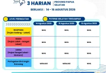 Update Peringatan Dini Cuaca 3 Harian Papsel