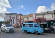 Cek Harga Bapok Peternakan dan Perikanan Merauke