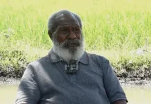 Papua Selatan Dinilai Punya Potensi Pangan Besar