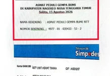 Pemkab Asmat Buka Donasi untuk Korban Gempa Bumi NTT