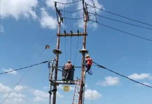 PLN ULP Merauke Kota, Lakukan Pemeliharaan Jaringan Berkala