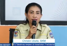 Dinkes Papua Selatan Dorong Masyarakat Lestarikan Jamu dan TOGA