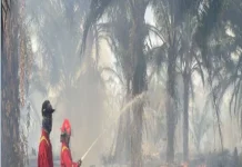 Tim Tanggap Darurat Jinakkan Karhutla di Merauke