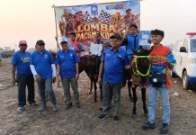 DPW PAN Papua Selatan Gelar Lomba Pacuan Kuda Tradisional di Salor