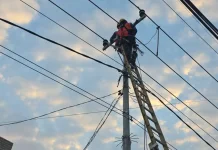 Terbaru, PLN UP3 Merauke, Lakukan Pemeliharaan Jaringan LIstrik