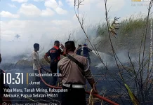 Sinergi Aparat dan Masyarakat Padamkan Kebakaran Lahan di Kampung Yaba Maru