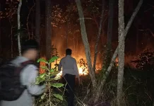 Api Padam, Personel Gabungan TNI-Polri Turun ke Lokasi Karhutla