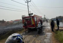 Karhutla di Merauke Sempat Ancam Permukiman Warga