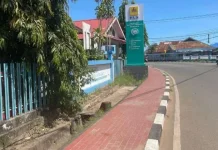 PLN Jadwalkan Pemadaman sementara untuk Pemeliharaan Jaringan di Merauke