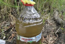 Minum Air Rawa Berwarna Kopi Susu, Masyarakat dan Guru Harapkan Dibangun Bendungan.