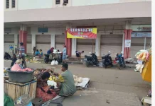 Harga Bapok di Wamanggu