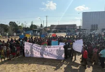 Aksi Dorong Pemerintah Libatkan Generasi Muda di Sektor Pertanian