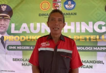 Ayam Petelur SMKN 4 Mappi Raup Omzet Ratusan Juta